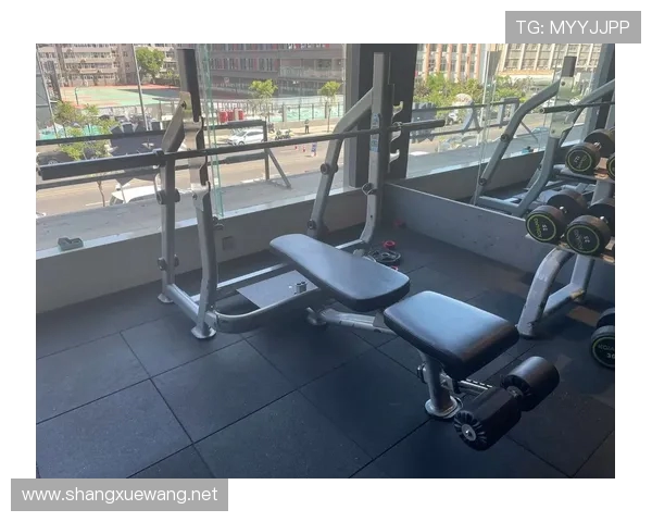 遂生健身器材品牌介绍与特点