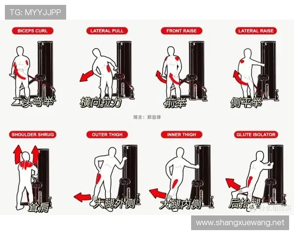 高效省空间小型健身器材训练方案全解析