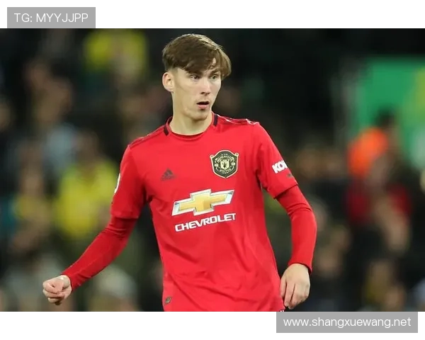 FM2020游戏中英超球队转会预算大全与推荐买人策略