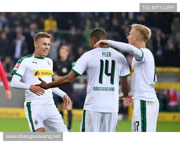 德甲各球队主力阵容深度剖析与战术配置