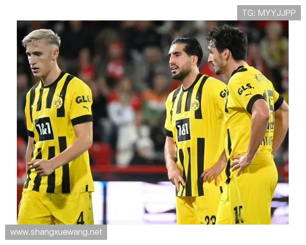 德甲所有球队的绰号及对应图标整理