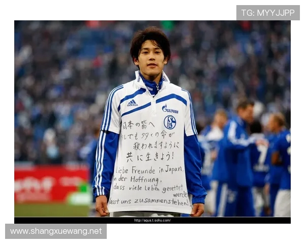 德甲球队国旗高清图片及球队文化背景解读 德甲球队国旗高清图片及球队文化背景解读