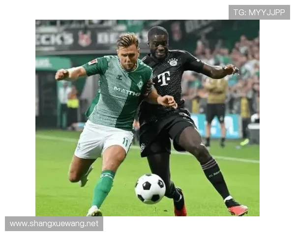 德甲知名球队排名榜公布，传统与实力兼备的顶级俱乐部谁在前？