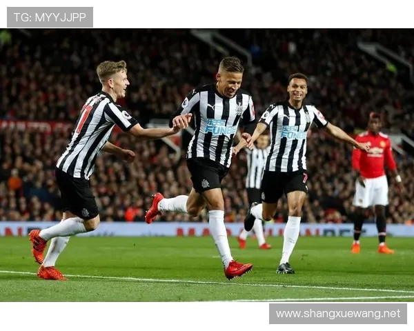 英超未降级球队年度表现谁领风骚