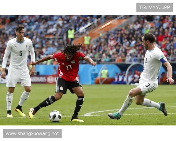 世界杯背景下埃及足球崛起与挑战全景解析历程与未来展望