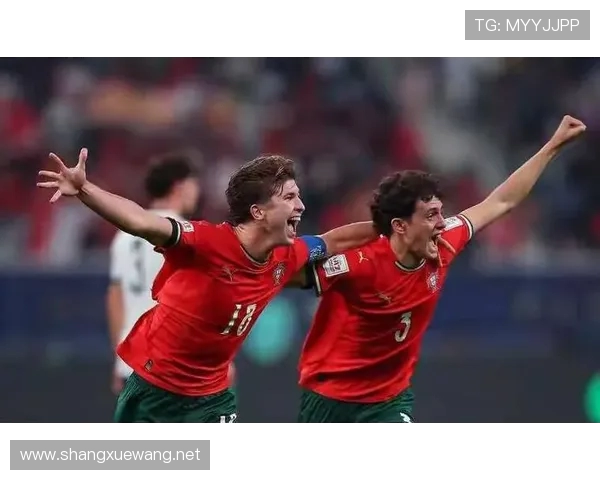 奥地利进世界杯了吗球队实力与出线形势深度观察最新动态全面解析报